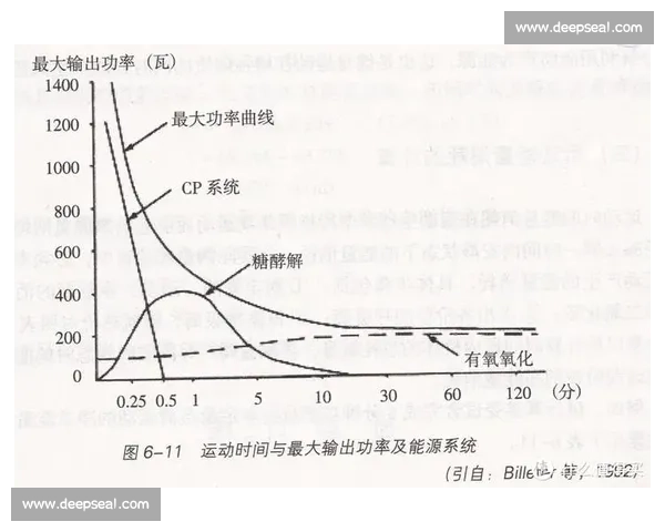 科学掌握燃脂心率计算方法提升高效减脂效果与个性化运动训练策略解析 - 副本 - 副本